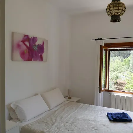 Monteviccoli צ'לייה מספיקה